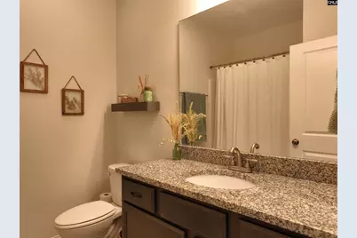 218 Chapin Brook Court, Chapin, SC 29036 - Photo 32