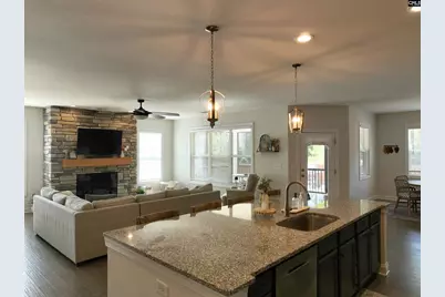 218 Chapin Brook Court, Chapin, SC 29036 - Photo 16