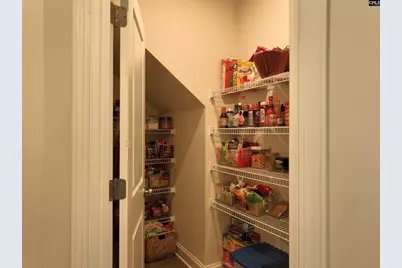 218 Chapin Brooke Court, Chapin, SC 29036 - Photo 18