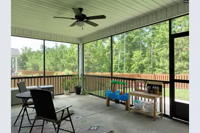 218 Chapin Brook Court, Chapin, SC 29036 - Photo 40