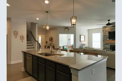 218 Chapin Brooke Court, Chapin, SC 29036 - Photo 16