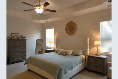 218 Chapin Brooke Court, Chapin, SC 29036 - Photo 26