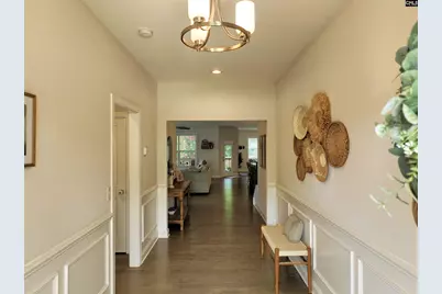 218 Chapin Brooke Court, Chapin, SC 29036 - Photo 50