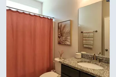 218 Chapin Brooke Court, Chapin, SC 29036 - Photo 30