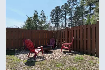 218 Chapin Brooke Court, Chapin, SC 29036 - Photo 44