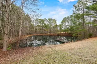 803 Langford Rd, Blythewood, SC 29016 - Photo 40