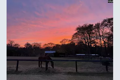 803 Langford Road, Blythewood, SC 29016 - Photo 48