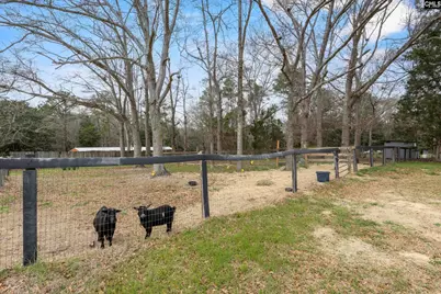 803 Langford Road, Blythewood, SC 29016 - Photo 42