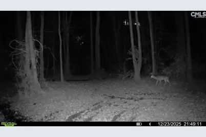 3135 Cox Road, Sumter, SC 29154 - Photo 50