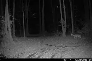 3135 Cox Rd, Sumter, SC 29154 - Photo 50