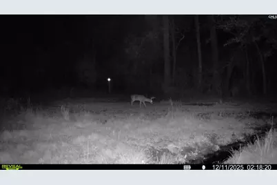 3135 Cox Road, Sumter, SC 29154 - Photo 52