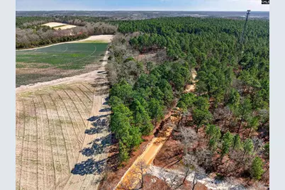 0 Rimrock Road, Leesville, SC 29070 - Photo 6
