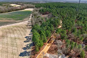 0 Rimrock Rd, Gilbert, SC 29054 - Photo 6