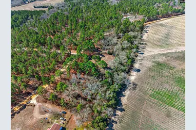 0 Rimrock Road, Leesville, SC 29070 - Photo 10