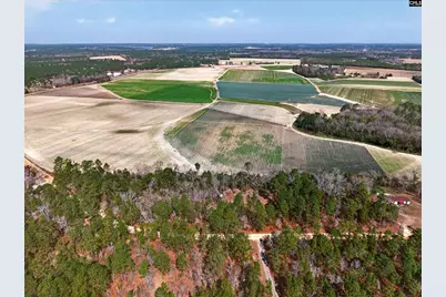 0 Rimrock Road, Leesville, SC 29070 - Photo 4