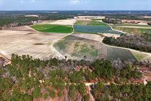 0 Rimrock Rd, Gilbert, SC 29054 - Photo 4