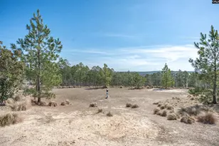 2249 Trakand Dr, Lexington, SC 29073 - Photo 28