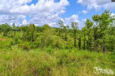 0000 Penner Road 7 #7, Jenkinsville, SC 29065 - Photo 34