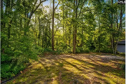 412 Mana Vista Court, Lexington, SC 29072 - Photo 58