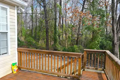 412 Mana Vista Court, Lexington, SC 29072 - Photo 66