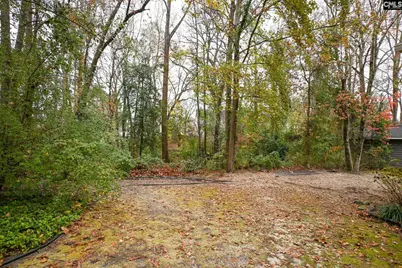 412 Mana Vista Court, Lexington, SC 29072 - Photo 62