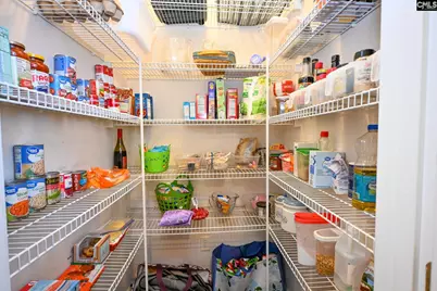 412 Mana Vista Court, Lexington, SC 29072 - Photo 12