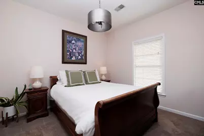 5 Tall Palmetto Lane, Lexington, SC 29072 - Photo 20