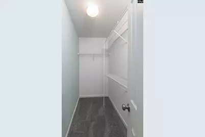 269 Mossborough Drive, Lexington, SC 29073 - Photo 34