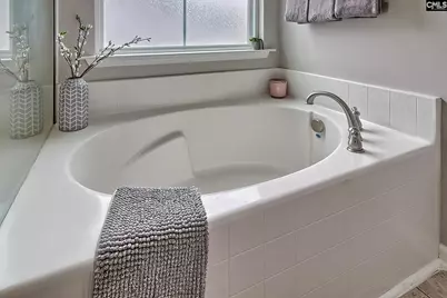 260 Eagle Pointe Drive, Chapin, SC 29036 - Photo 28