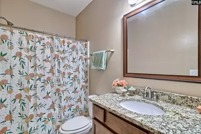 260 Eagle Pointe Drive, Chapin, SC 29036 - Photo 20