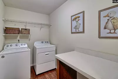 260 Eagle Pointe Drive, Chapin, SC 29036 - Photo 30