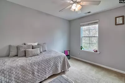 260 Eagle Pointe Drive, Chapin, SC 29036 - Photo 36