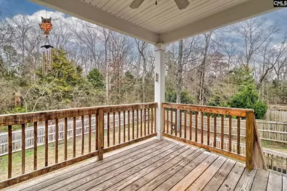 260 Eagle Pointe Drive, Chapin, SC 29036 - Photo 42