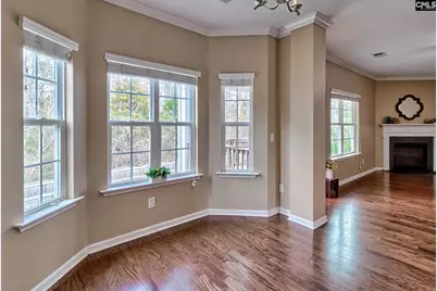 260 Eagle Pointe Drive, Chapin, SC 29036 - Photo 12