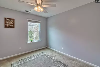 260 Eagle Pointe Drive, Chapin, SC 29036 - Photo 38