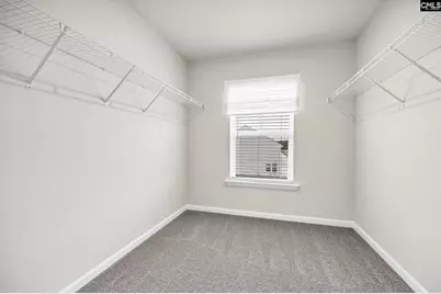 1003 Cornelia Street, Elgin, SC 29045 - Photo 22