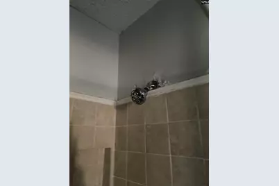 536 Dogwood Road, West Columbia, SC 29172 - Photo 22