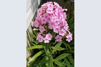 1017 Aderley Oak Drive, Irmo, SC 29063 - Photo 50