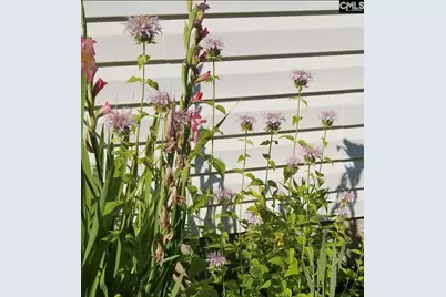 1017 Aderley Oak Drive, Irmo, SC 29063 - Photo 52