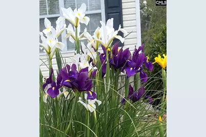 1017 Aderley Oak Drive, Irmo, SC 29063 - Photo 44