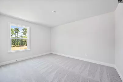 615 Mossy Branch Road, Blythewood, SC 29016 - Photo 34
