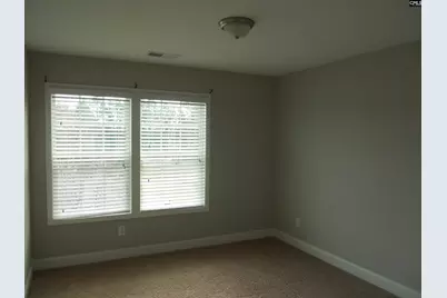 238 Bronze Bluff Court, Lexington, SC 29073 - Photo 16