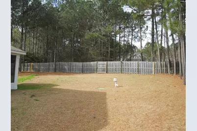 238 Bronze Bluff Court, Lexington, SC 29073 - Photo 34