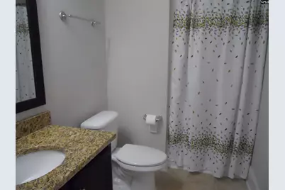 238 Bronze Bluff Court, Lexington, SC 29073 - Photo 4