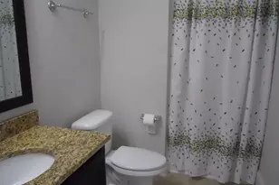 238 Bronze Bluff Ct, Lexington, SC 29073 - Photo 4