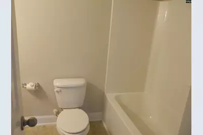 238 Bronze Bluff Court, Lexington, SC 29073 - Photo 20