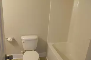 238 Bronze Bluff Ct, Lexington, SC 29073 - Photo 20