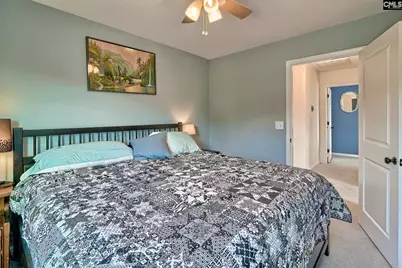 804 Burnview Lane, Chapin, SC 29036 - Photo 48