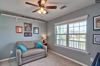 804 Burnview Lane, Chapin, SC 29036 - Photo 44