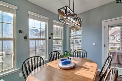 804 Burnview Lane, Chapin, SC 29036 - Photo 26